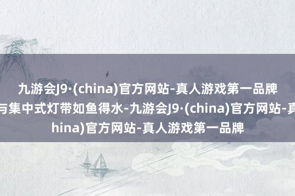 九游会J9·(china)官方网站-真人游戏第一品牌广汽传祺的车标与集中式灯带如鱼得水-九游会J9·(china)官方网站-真人游戏第一品牌