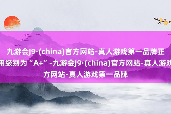 九游会J9·(china)官方网站-真人游戏第一品牌正裕转债信用级别为“A+”-九游会J9·(china)官方网站-真人游戏第一品牌