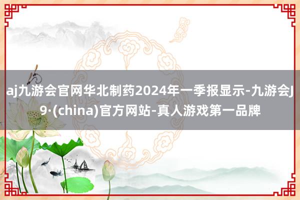 aj九游会官网华北制药2024年一季报显示-九游会J9·(china)官方网站-真人游戏第一品牌