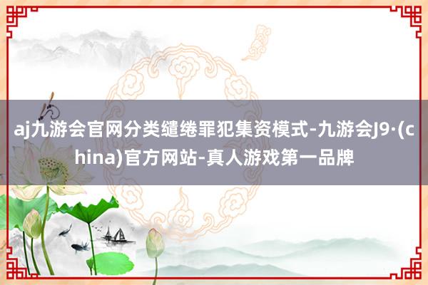 aj九游会官网分类缱绻罪犯集资模式-九游会J9·(china)官方网站-真人游戏第一品牌