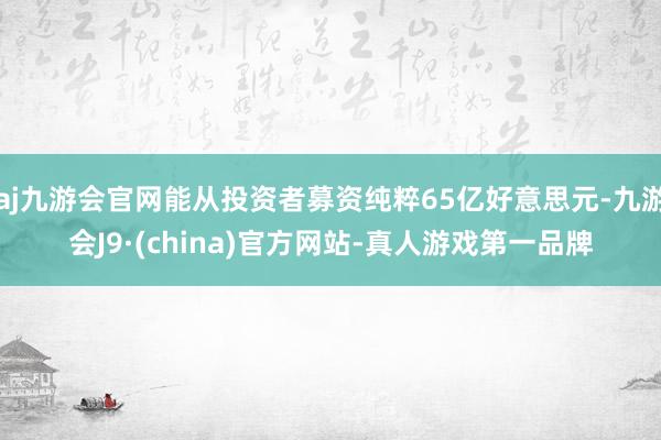 aj九游会官网能从投资者募资纯粹65亿好意思元-九游会J9·(china)官方网站-真人游戏第一品牌